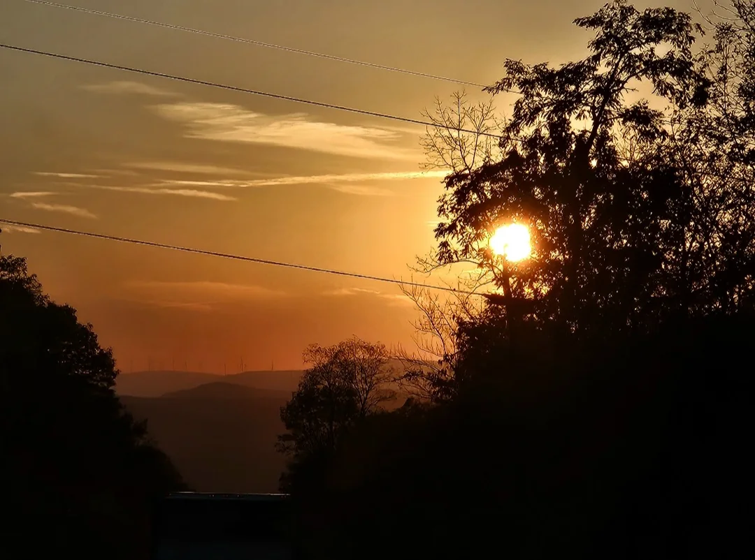 Soleil couchant derrière les arbres