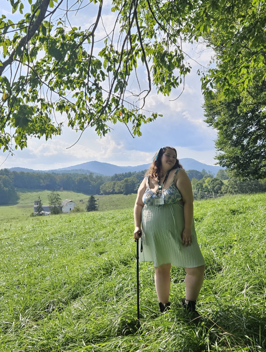 Sur la moitié basse un champ d'herbes, sur la moitié haute le ciel, caché par des branches d'arbre. Au millieu, les montagnes en arrière plan, moi en premier plan.