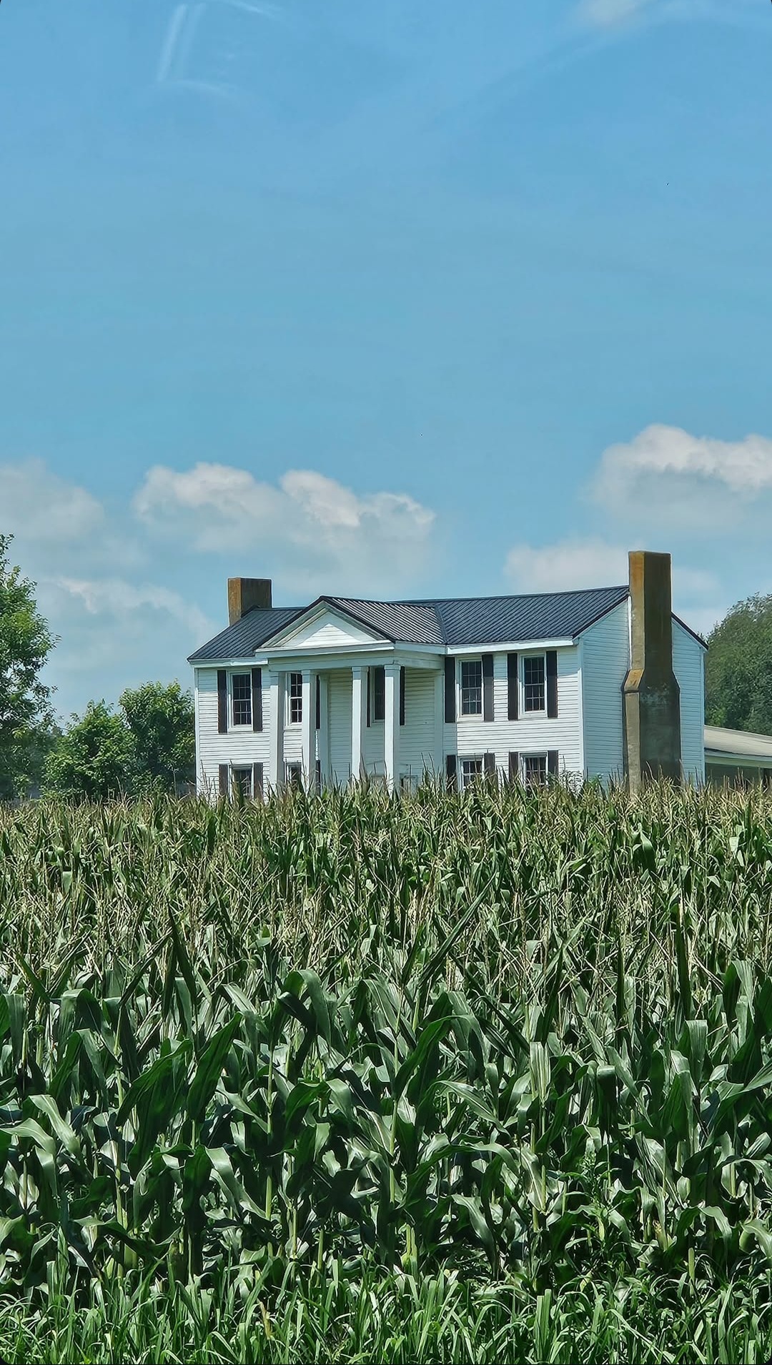 La moitié basse de l'image est prise par un champ de blé vert, la moitié haute par le ciel, et au milleu une grande maison typique