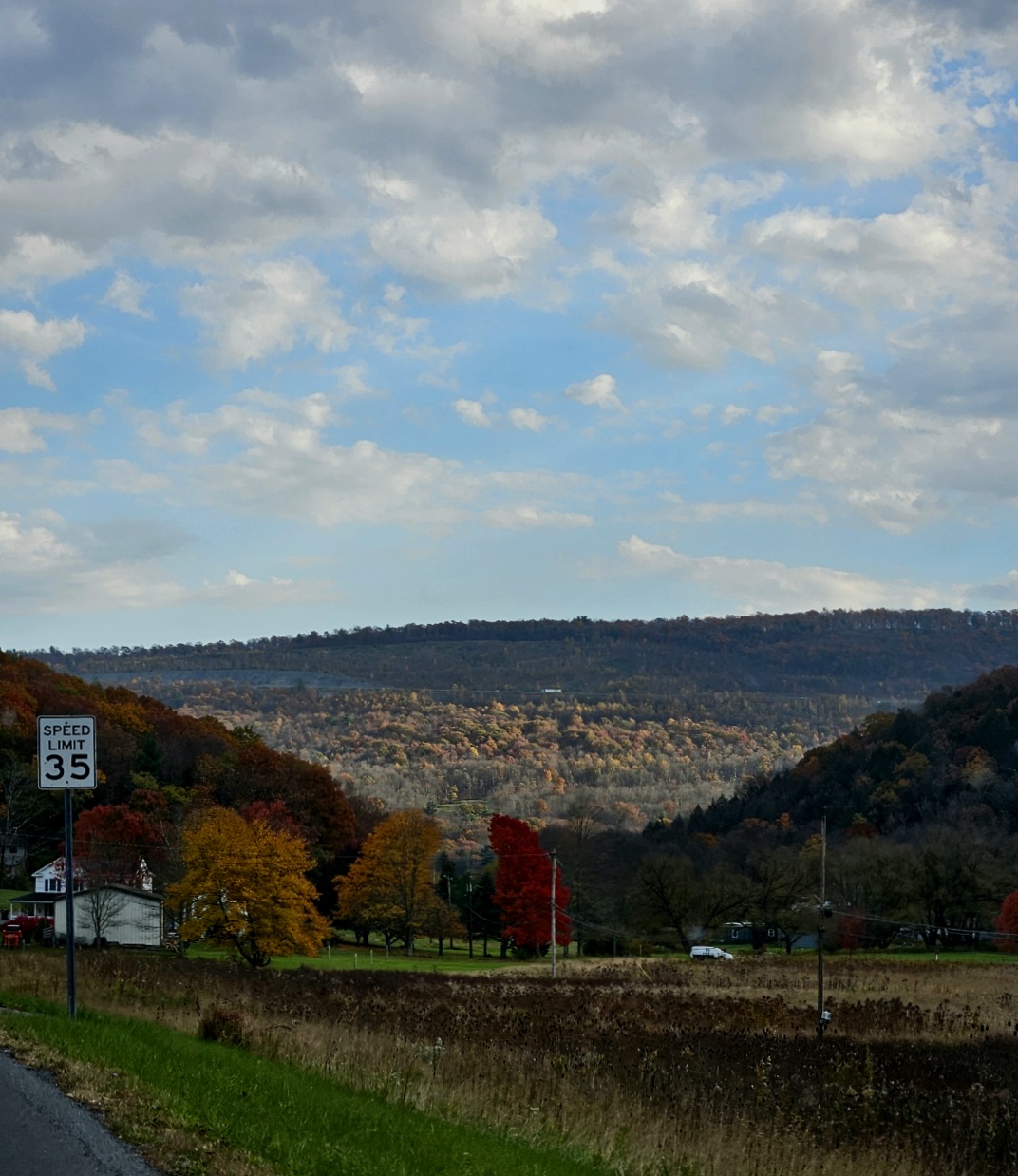 Depuis la route, les montagnes qui sont au couleurs de l'automne, et trois arbres : orange, marron et rouge