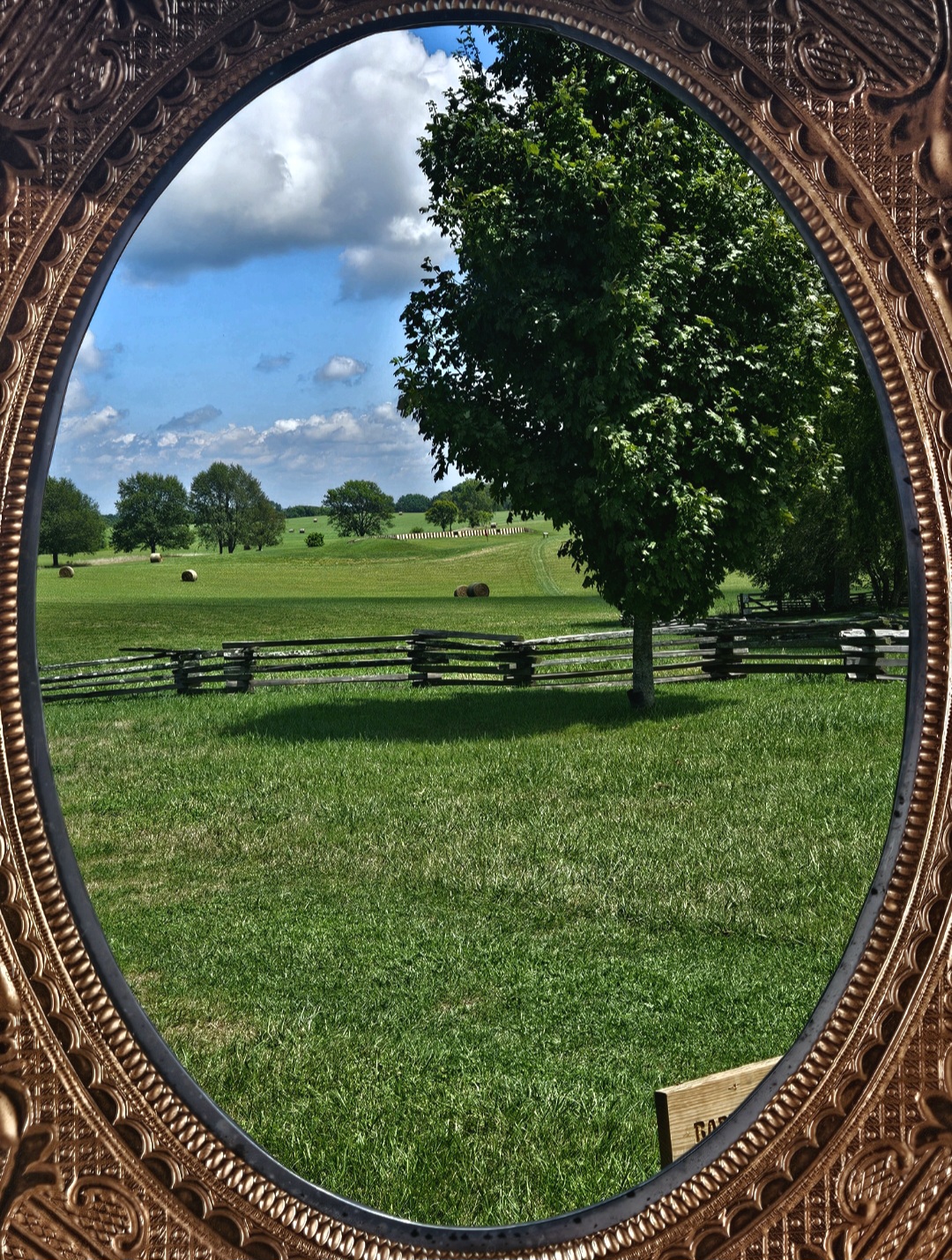 Un paysage vert reflété dans un miroir ouvragé